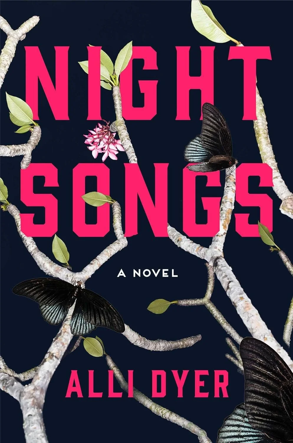 Night Songs by Alli Dyer — SFF Insiders